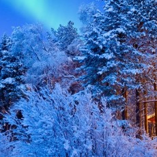 Littérature jeunesse et voyage : Finlande