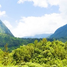 Littérature jeunesse et voyage : La Réunion