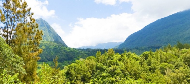 Littérature jeunesse et voyage : La Réunion