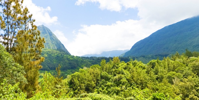 Littérature jeunesse et voyage : La Réunion