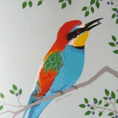 Livre enfants - oiseaux globe-trotters