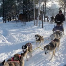 Grand nord - Jack London