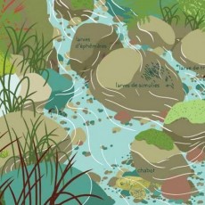 Fleur Daugey : elle court la rivière - Actes Sud