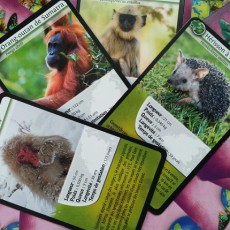Défis nature Asie - Bioviva