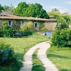 Histoires en herbe - Oui Dire
