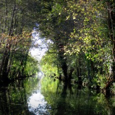 livres enfants - Poitou-Charentes