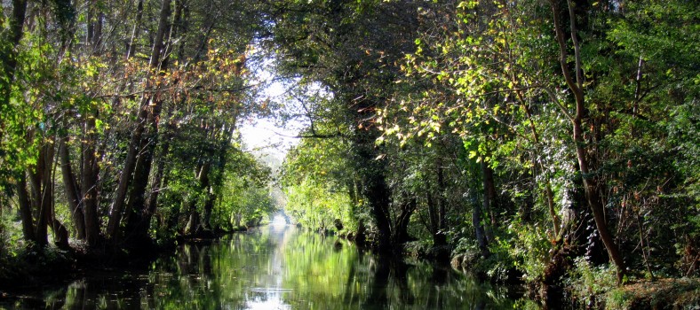 livres enfants - Poitou-Charentes