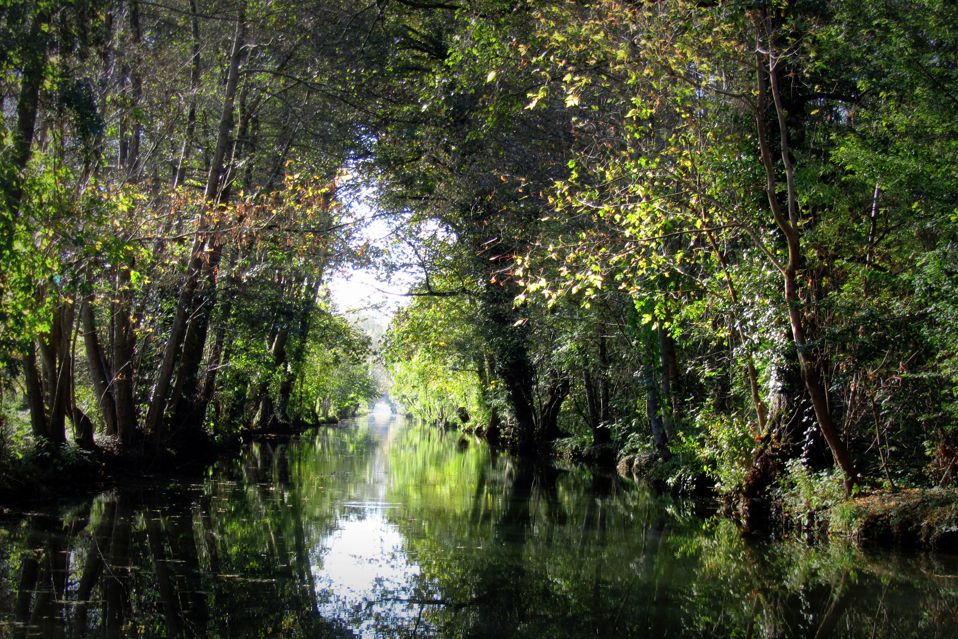 livres enfants - Poitou-Charentes