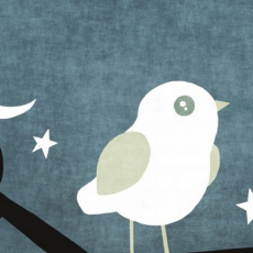 L'oiseau qui avait avalé une étoile - La Palissade