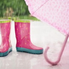 pluie