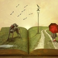 automne : livres pour enfants