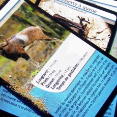 Bioviva - Défi nature - France