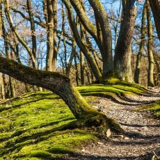 Brèves : livres pour enfants et voyages