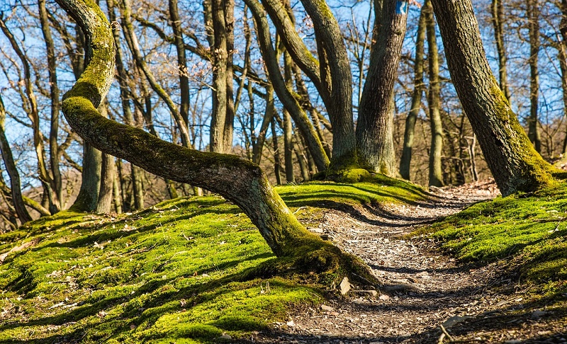 Brèves : livres pour enfants et voyages