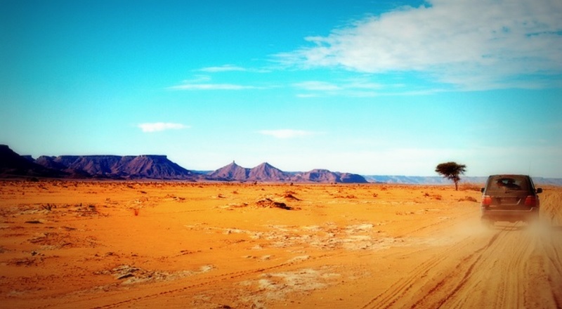 Alice au Maroc - Caryl Ferey - Syros