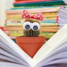 blog un livre dans ma valise - livres enfants et voyage