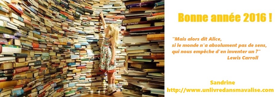 blog un livre dans ma valise - livres enfants et voyage