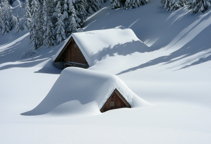 brèves neige - un livre dans ma valise