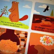 livres enfants - neige et montagne