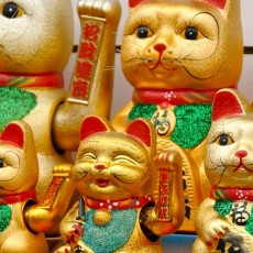 sélection livres enfant - Japon