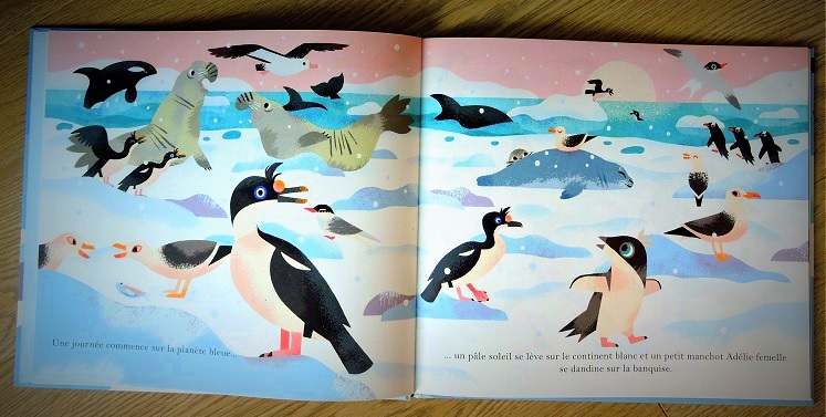 Une journée en Antarctique - Ella Bailey - Gallimard jeunesse