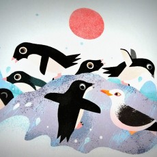 Une journée en Antarctique - Ella Bailey - Gallimard jeunesse