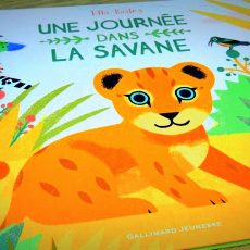 Une journée dans la savane - Ella Bailey