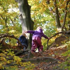 livres pour enfants : nature
