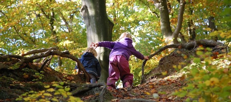 livres pour enfants : nature