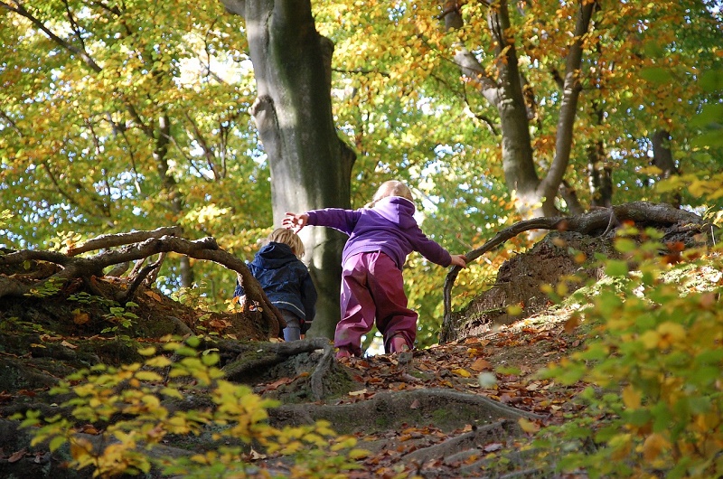 livres pour enfants : nature