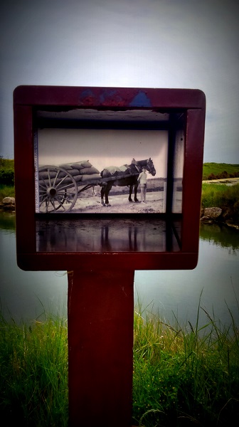 silent sunday - port des salines