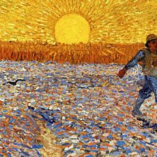 Van Gogh et la Provence : livres pour enfants