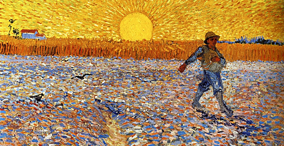 Van Gogh et la Provence : livres pour enfants