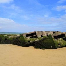 theo-contre-squale-roman-normandie