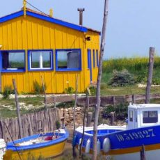 nano-risque-tout-oleron