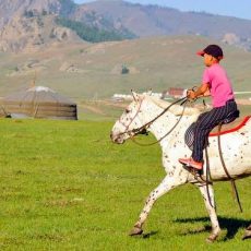 roman-zoe-gabin-mongolie