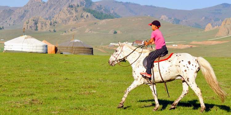 roman-zoe-gabin-mongolie