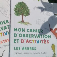 cahier-observation-arbres