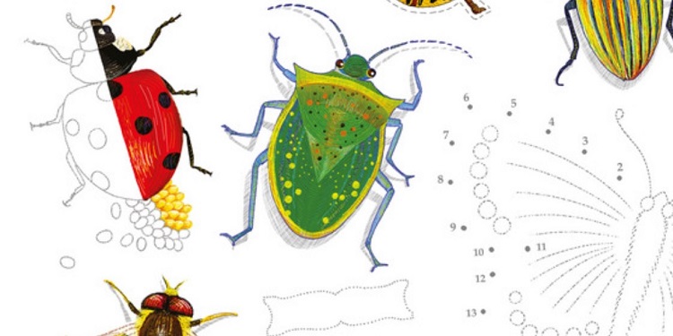 cahier-observation-insectes