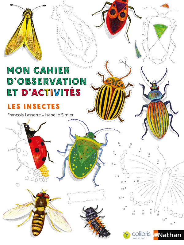 cahier-observation-insectes