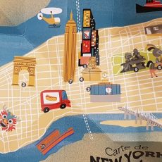 album bonjour New York bayard jeunesse