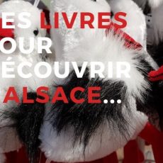 sélection de livres pour enfants sur l'Alsace