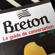 guide de conversation pour les enfants - apprendre le breton
