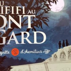 du rififi au pont du Gard de Gérard Coulon