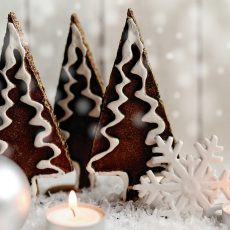 cadeaux livres pour voyager