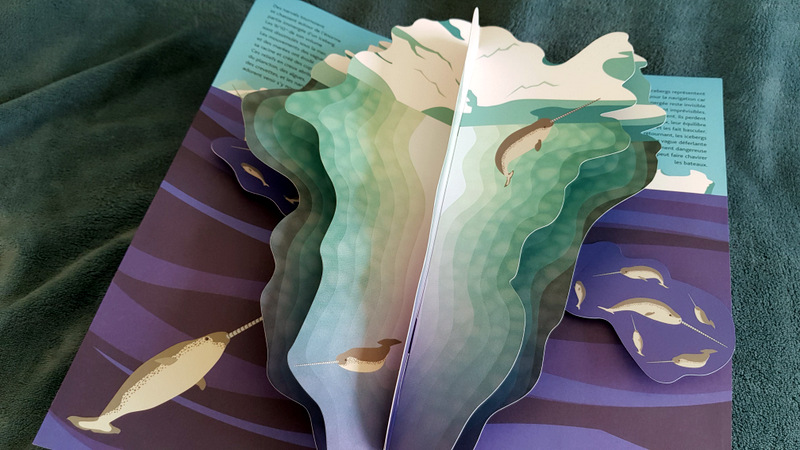 livre animé pop-up Icebergs