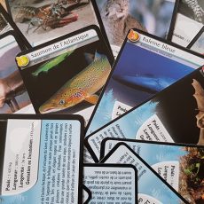 jeu de cartes Défis nature Québec