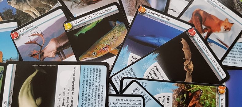 jeu de cartes Défis nature Québec