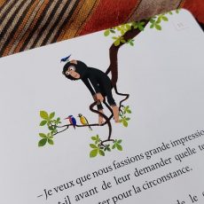 contes d'Afrique - Père Castor par jean Muzi et Sébastien Pelon