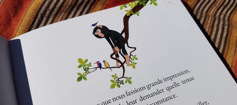 contes d'Afrique - Père Castor par jean Muzi et Sébastien Pelon